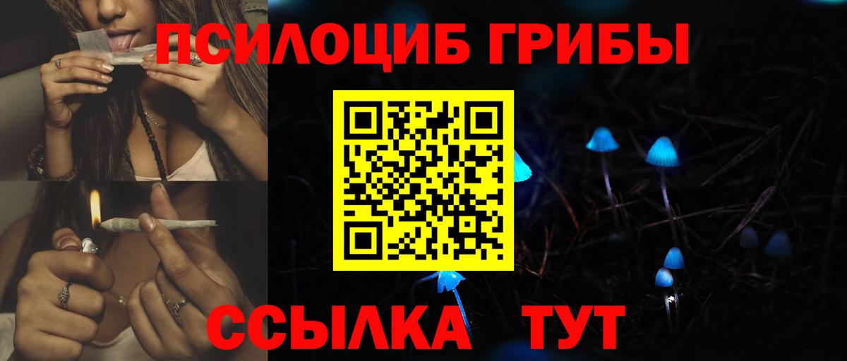 Псилоцибиновые грибы MAGIC MUSHROOMS Старая Русса